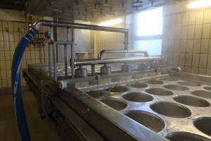 Filling-of-the-Stadu-press2